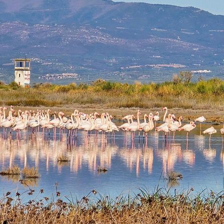 نيا بوتيدايا Flamingo View Suites & Villas المظهر الخارجي الصورة