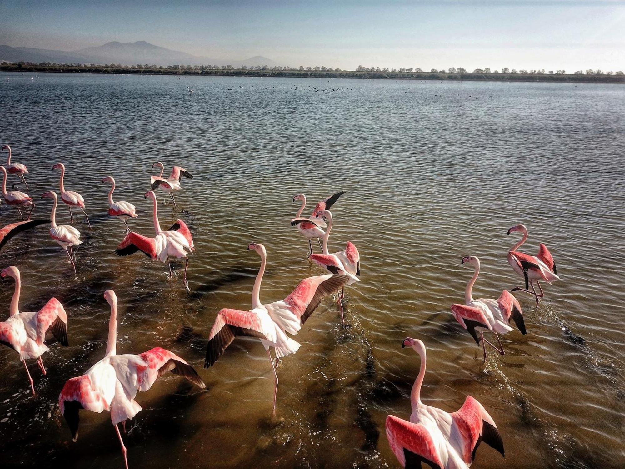 نيا بوتيدايا Flamingo View Suites & Villas المظهر الخارجي الصورة